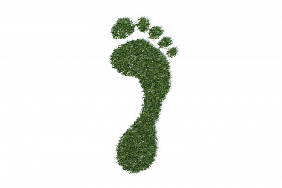 8 consigli per respirare aria più pulita e ridurre l'impronta di carbonio