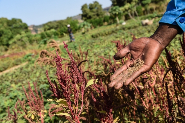 Ci rubano il lavoro?